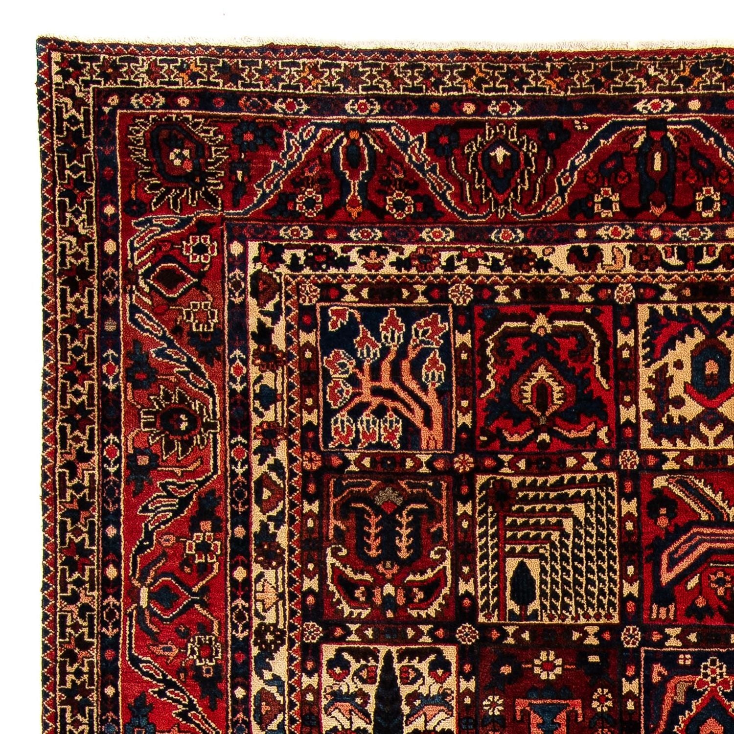 Ziegler Teppich - Bachtiari 374 x 305 cm