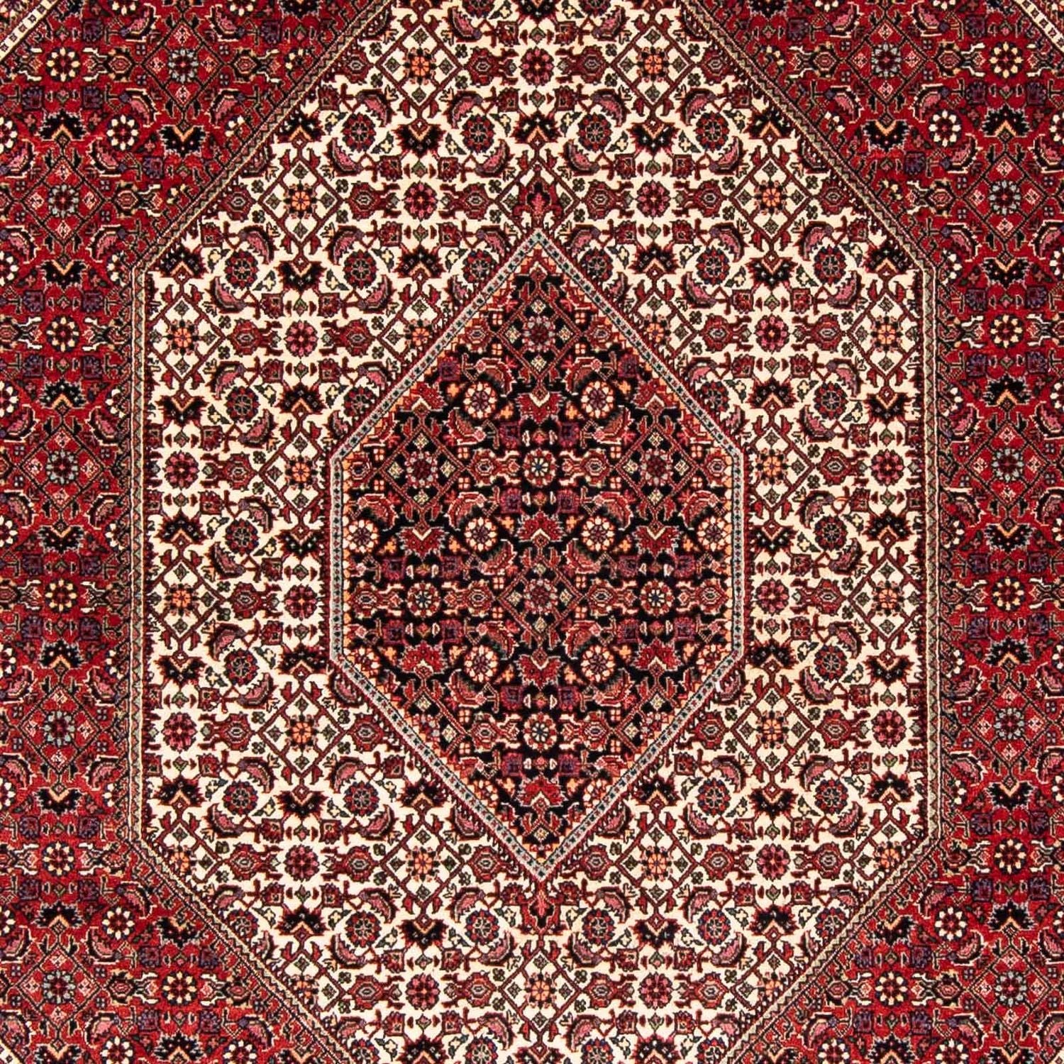 Perserteppich - Bidjar 242 x 170 cm