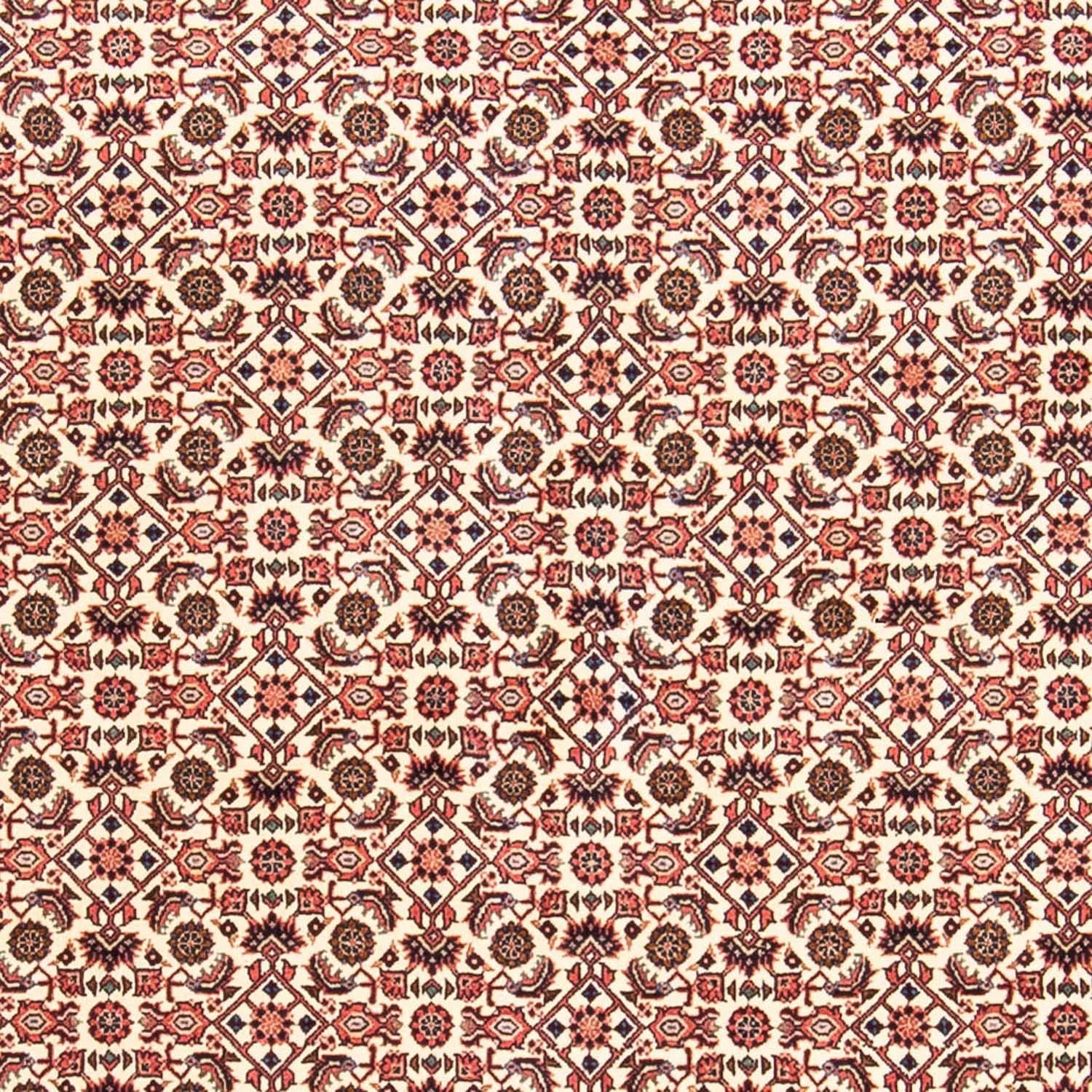 Perserteppich - Bidjar 237 x 170 cm