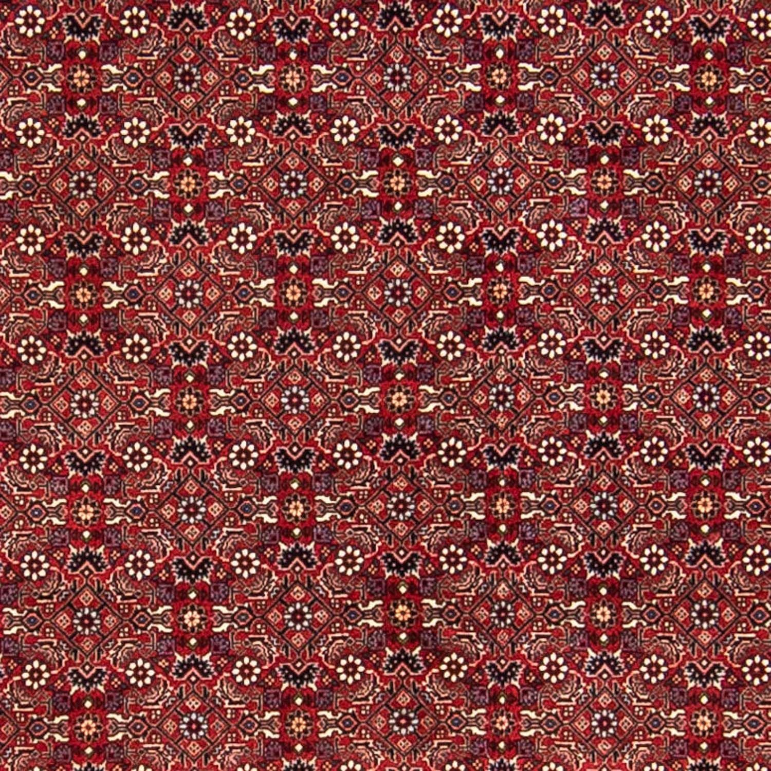 Perserteppich - Bidjar 288 x 256 cm