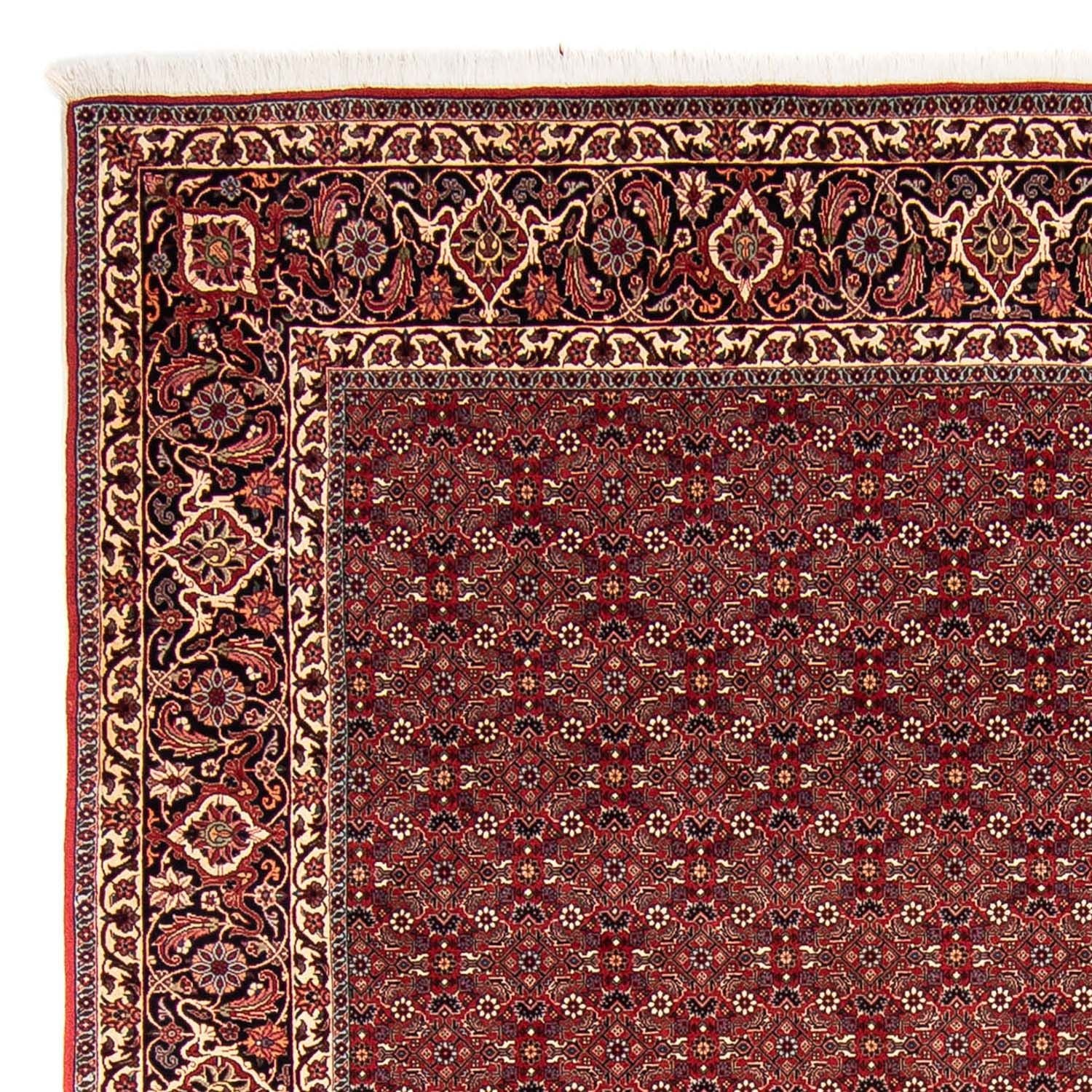 Perserteppich - Bidjar 288 x 256 cm
