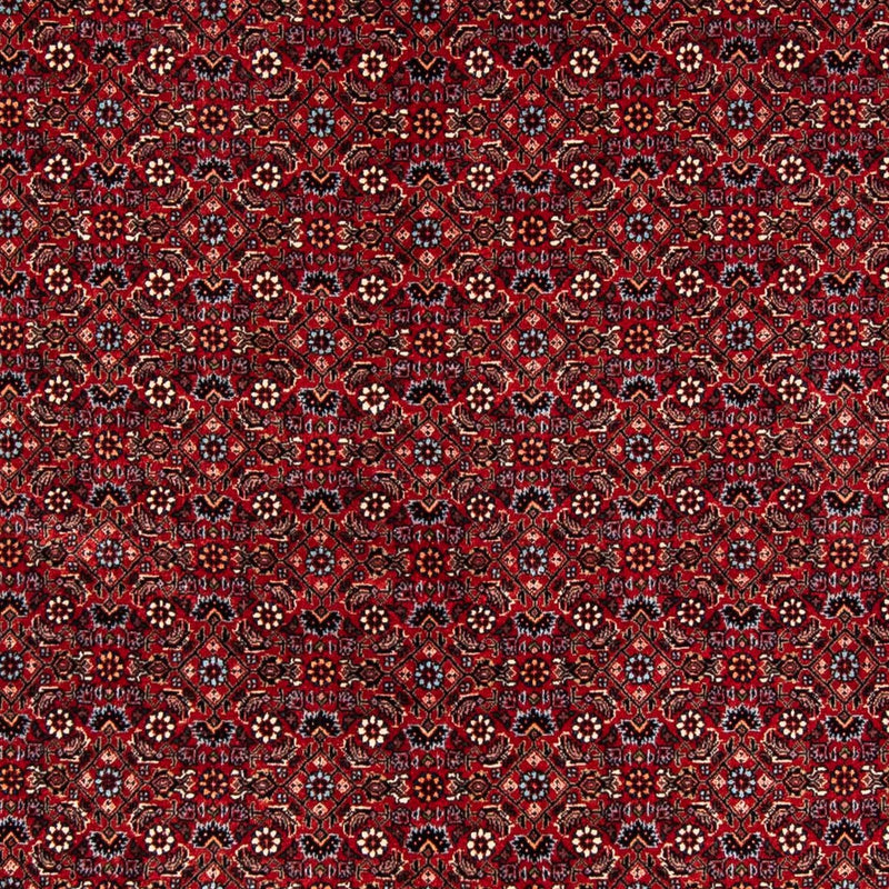Perserteppich - Bidjar 243 x 172 cm