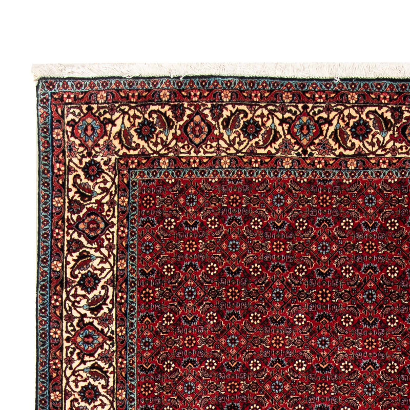 Perserteppich - Bidjar 243 x 172 cm