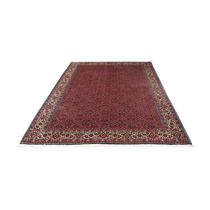 Perserteppich - Bidjar 243 x 172 cm