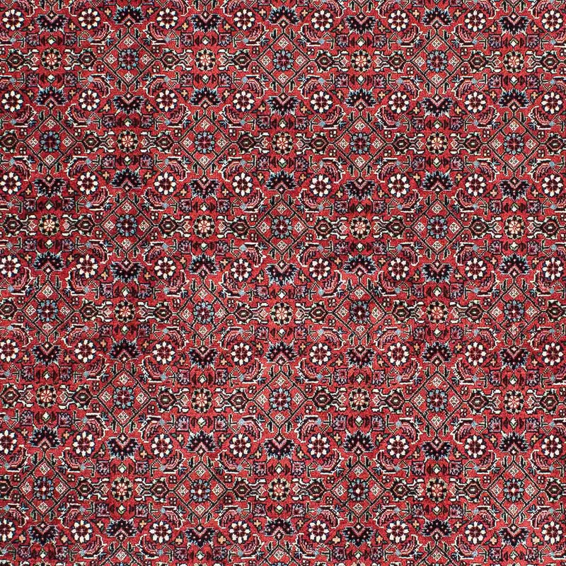 Perserteppich - Bidjar - Royal 212 x 130 cm