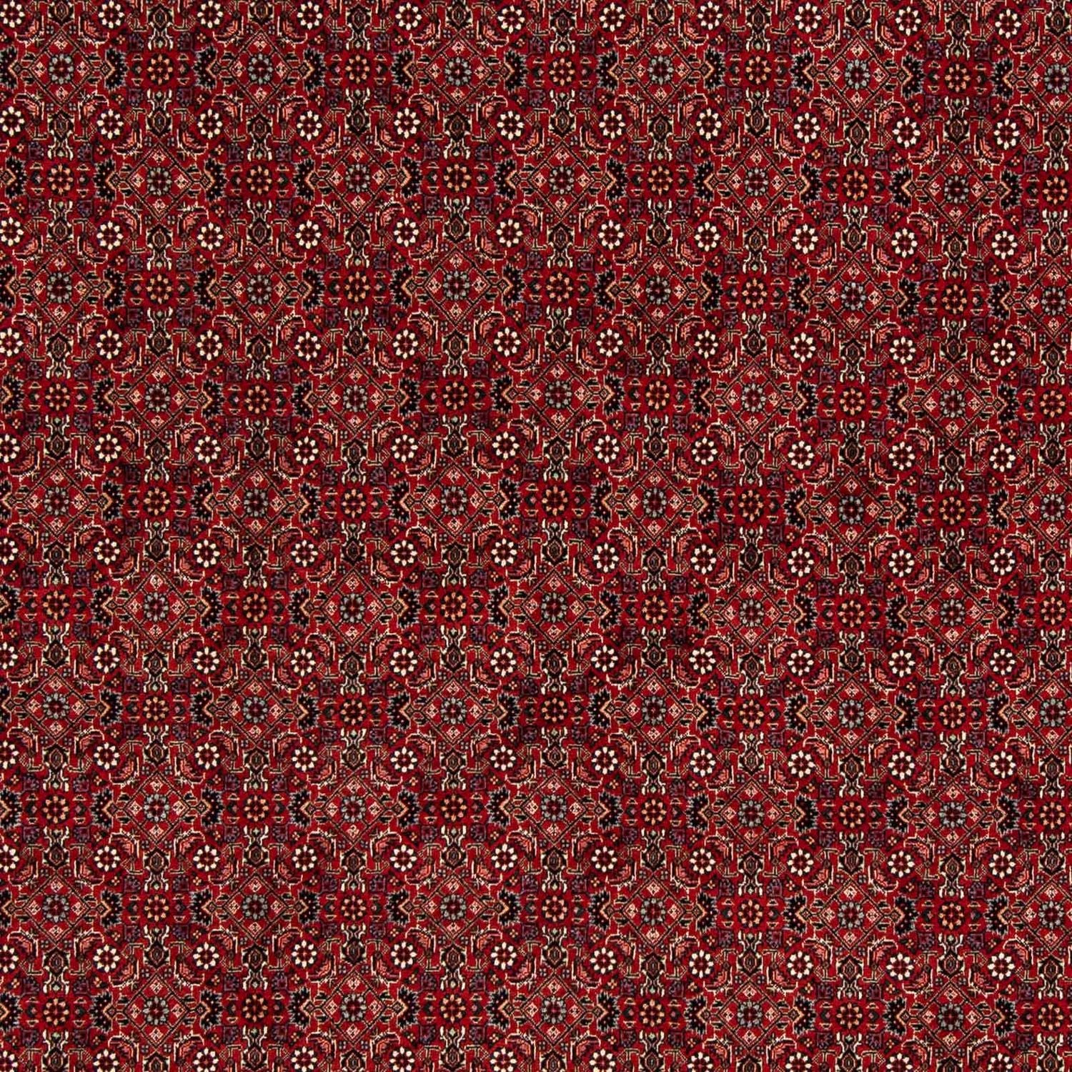 Perserteppich - Bidjar 212 x 206 cm