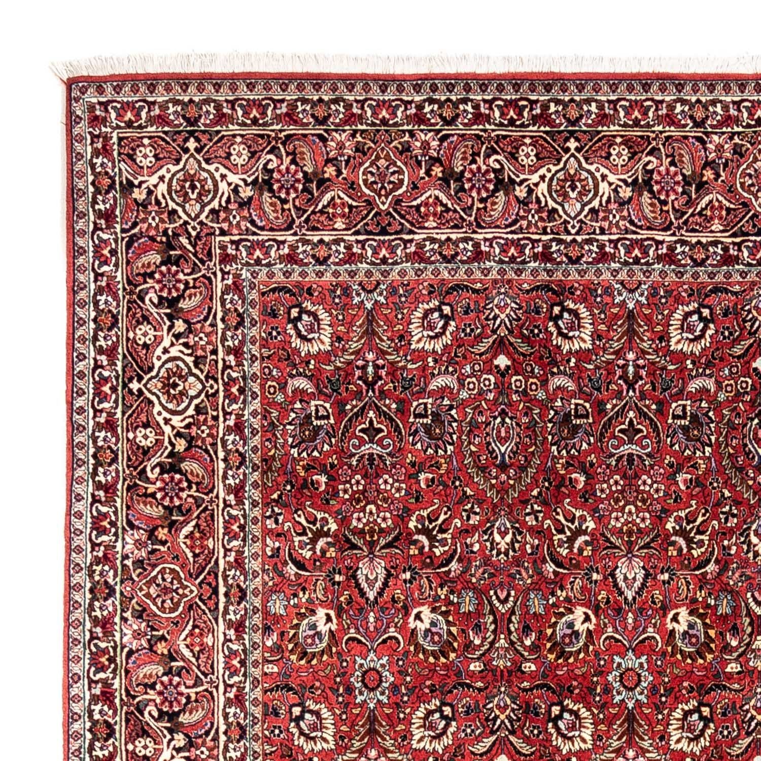 Perserteppich - Bidjar - Royal 349 x 252 cm - rot