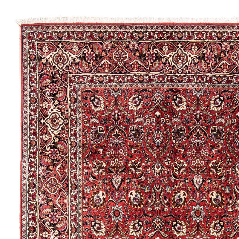 Perserteppich - Bidjar - Royal 349 x 252 cm - rot
