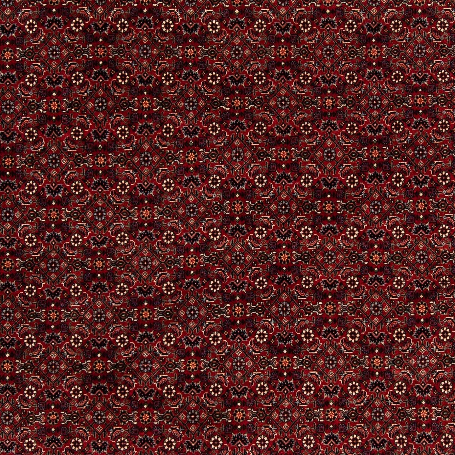 Perserteppich - Bidjar 212 x 205 cm
