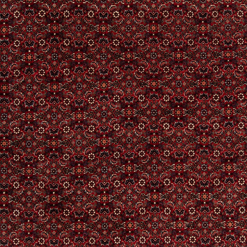 Perserteppich - Bidjar 212 x 205 cm