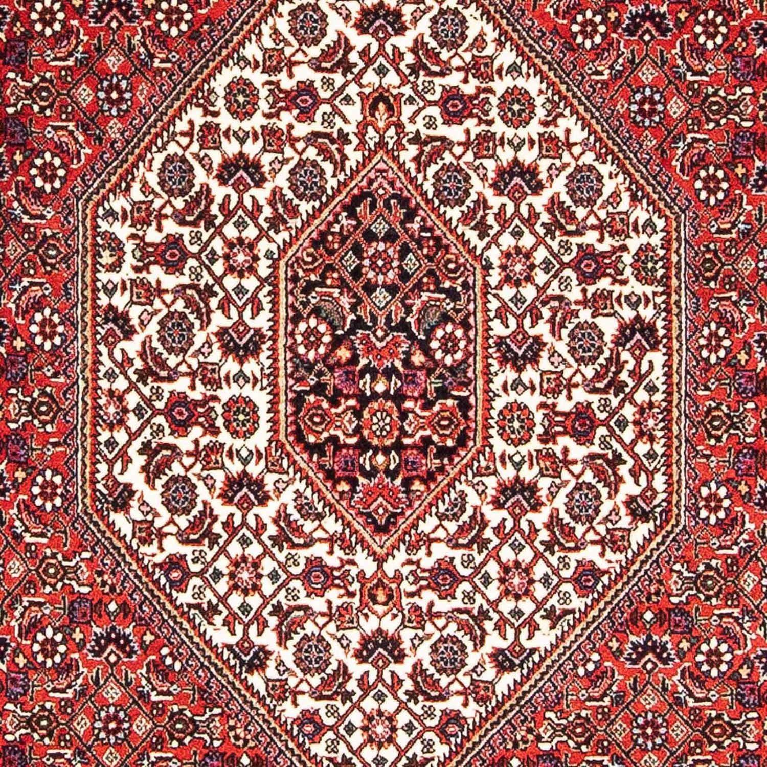 Perserteppich - Bidjar - Royal 179 x 112 cm