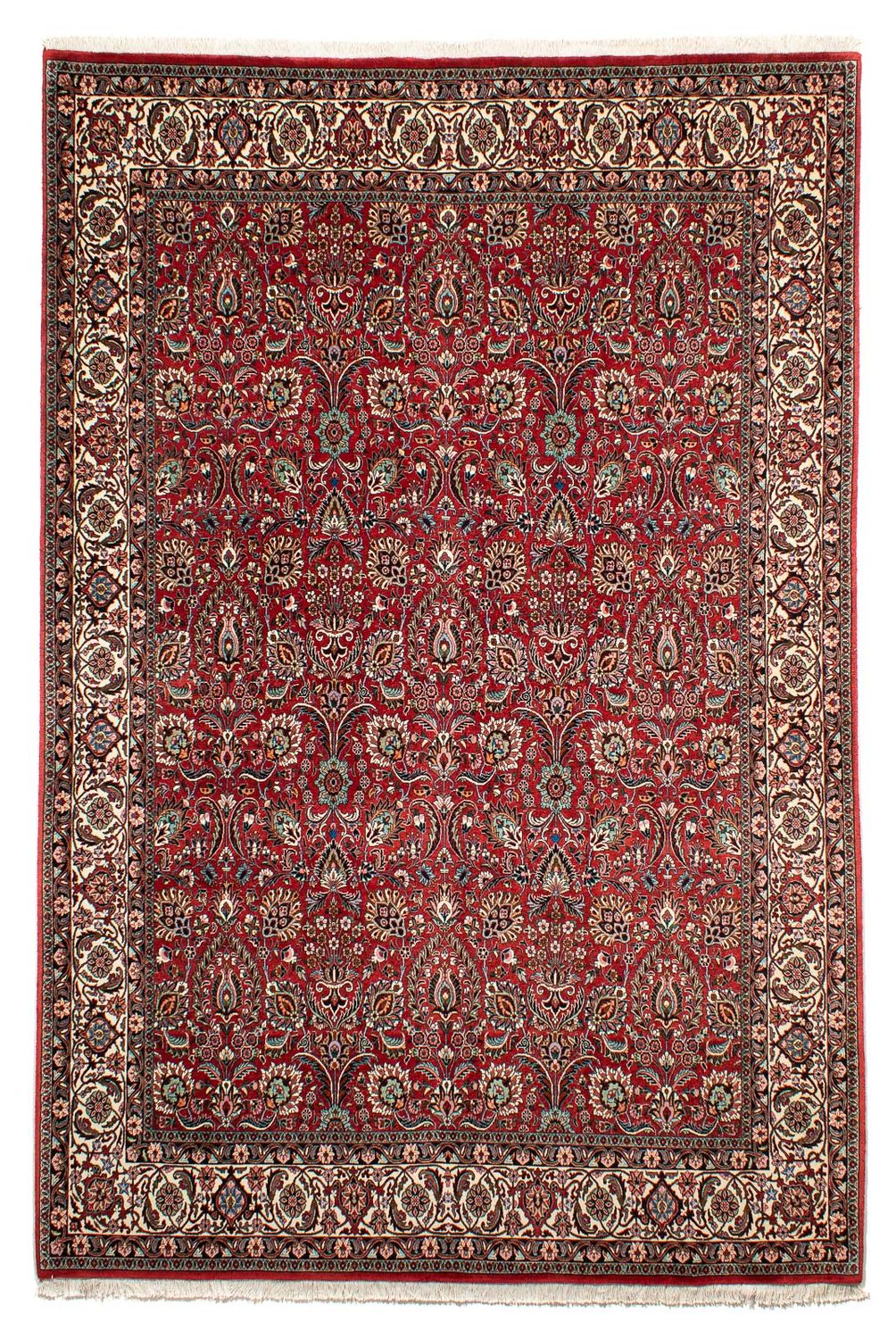 Perserteppich - Bidjar 286 x 202 cm