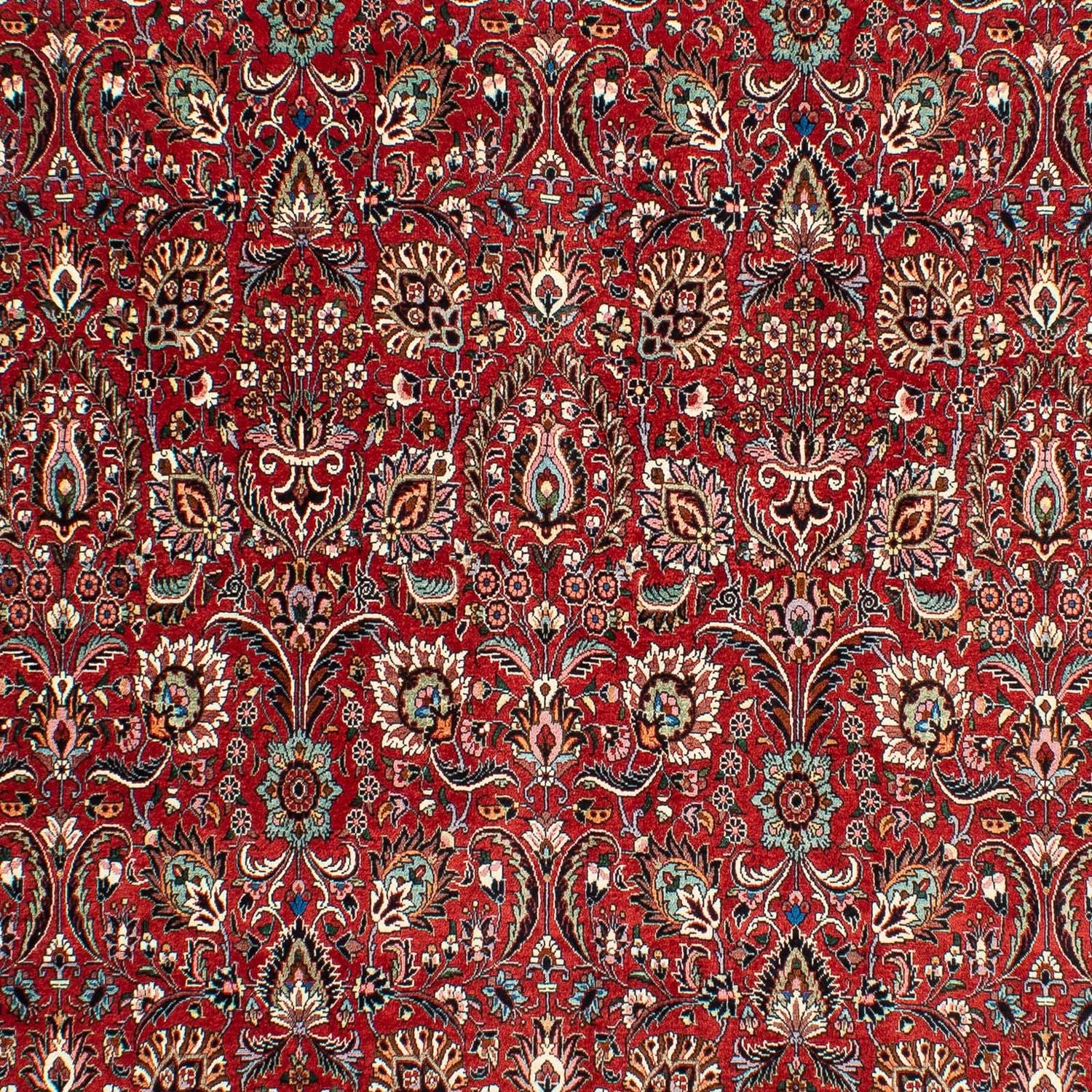 Perserteppich - Bidjar 286 x 202 cm