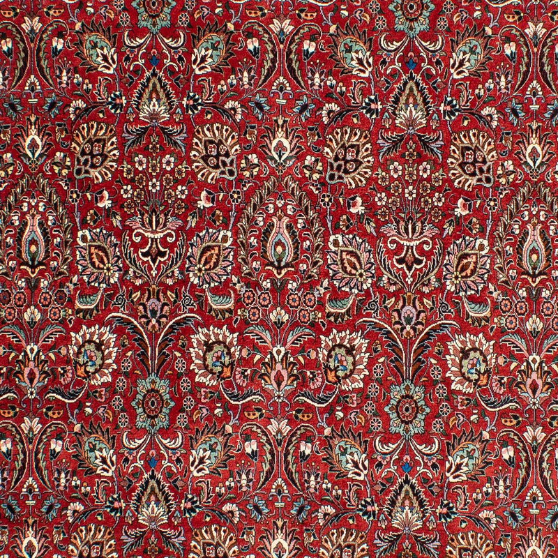 Perserteppich - Bidjar 286 x 202 cm