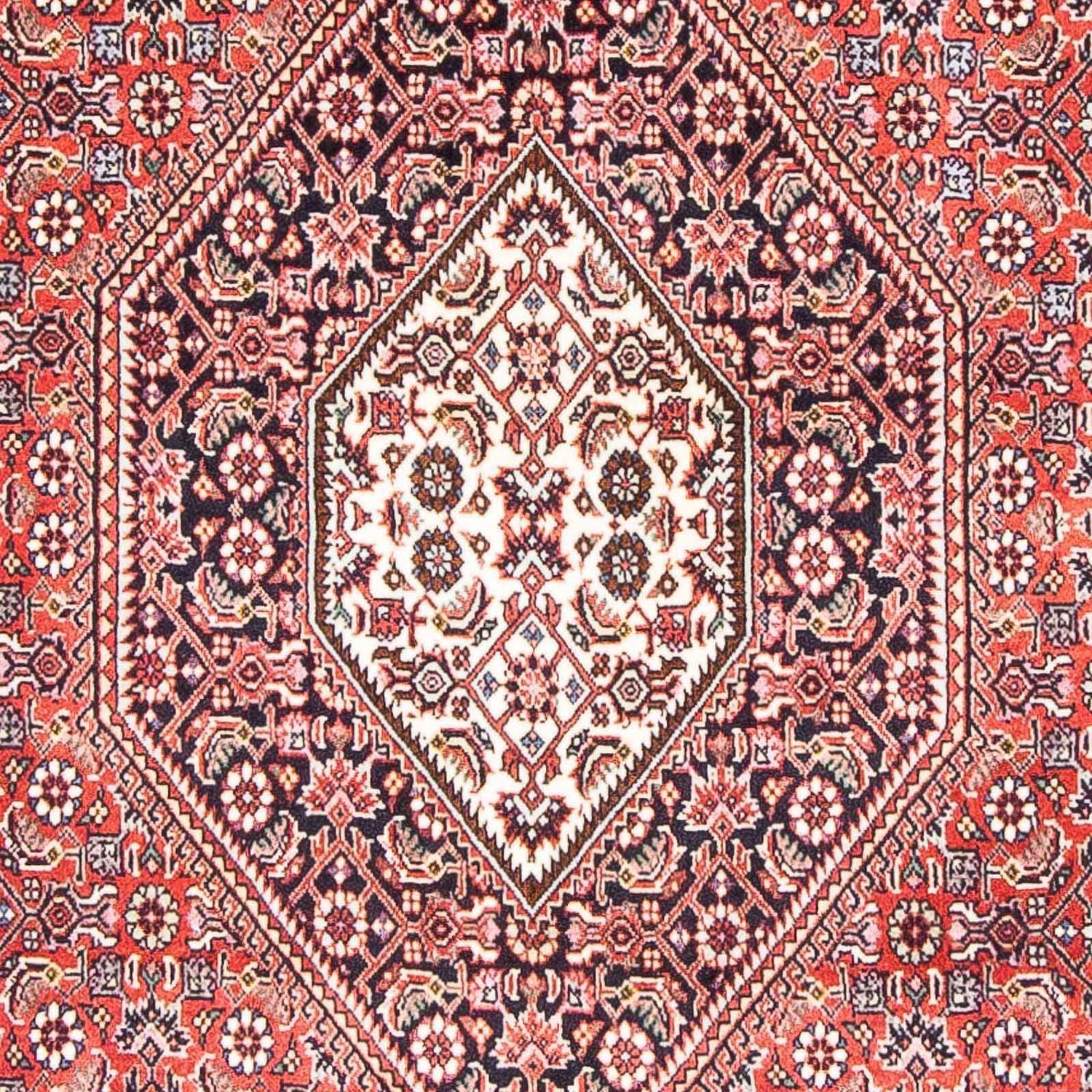 Perserteppich - Bidjar - Royal 172 x 106 cm