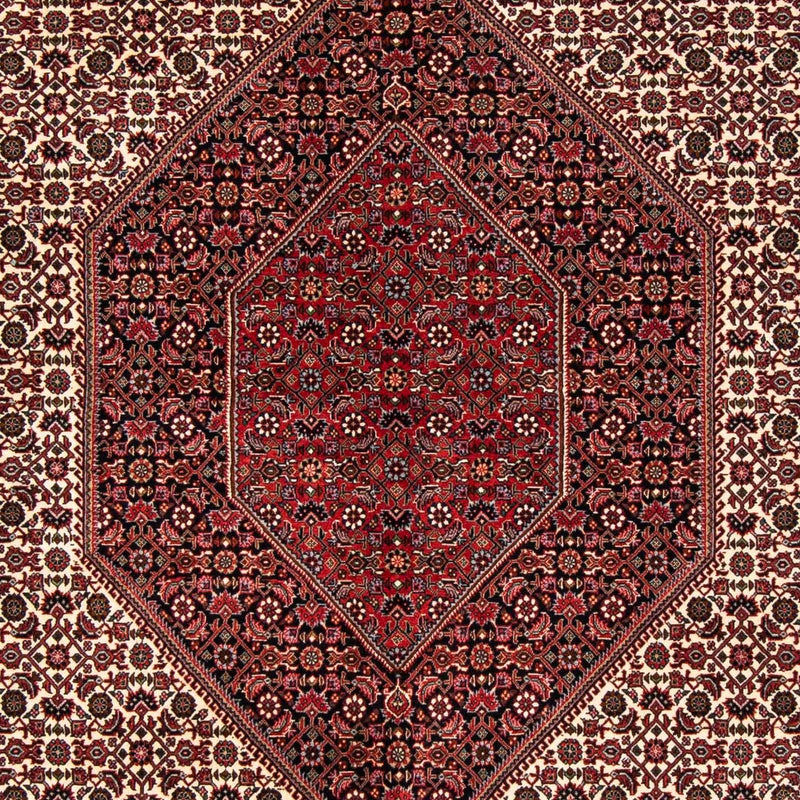 Perserteppich - Bidjar 251 x 171 cm