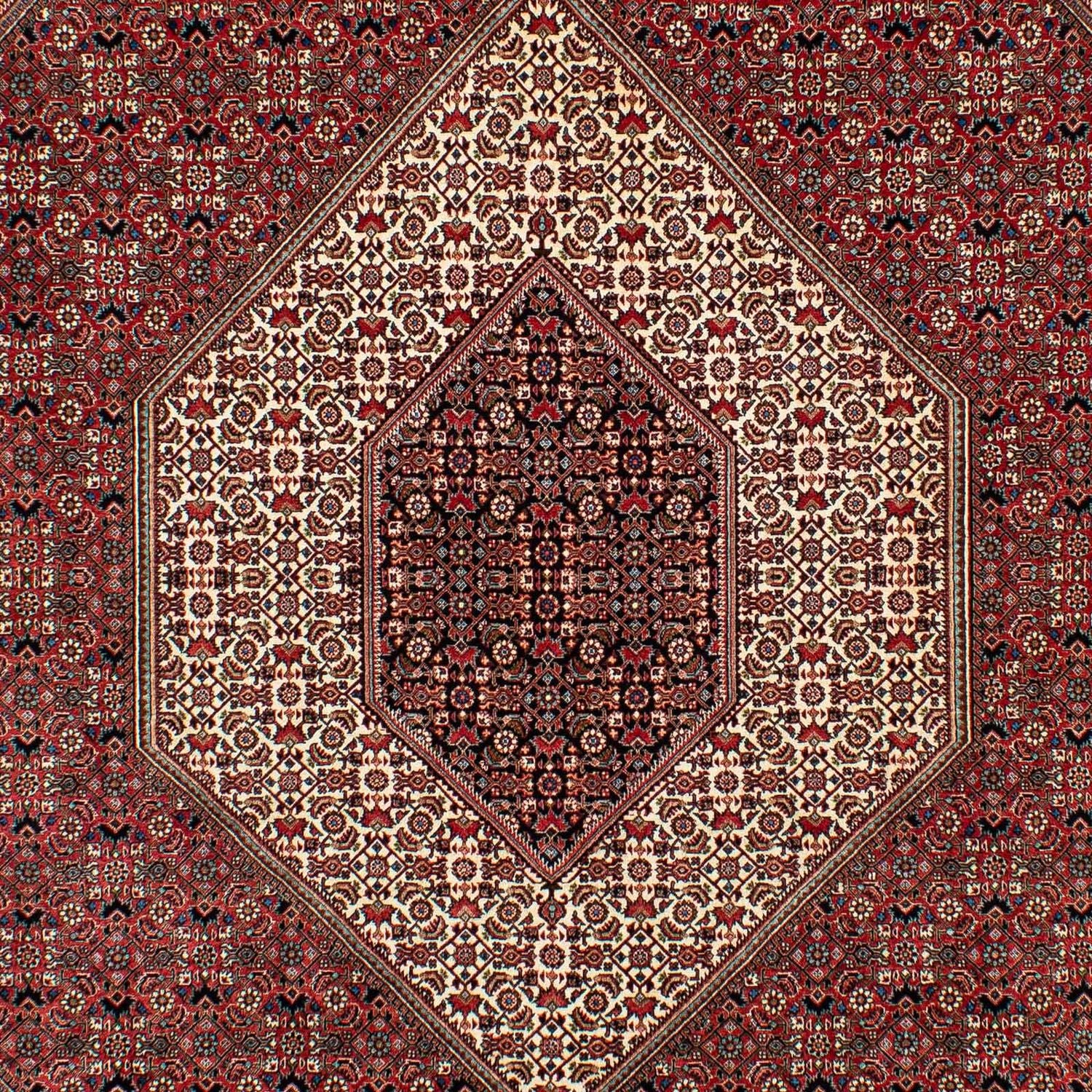 Perserteppich - Bidjar 305 x 203 cm - dunkelrot
