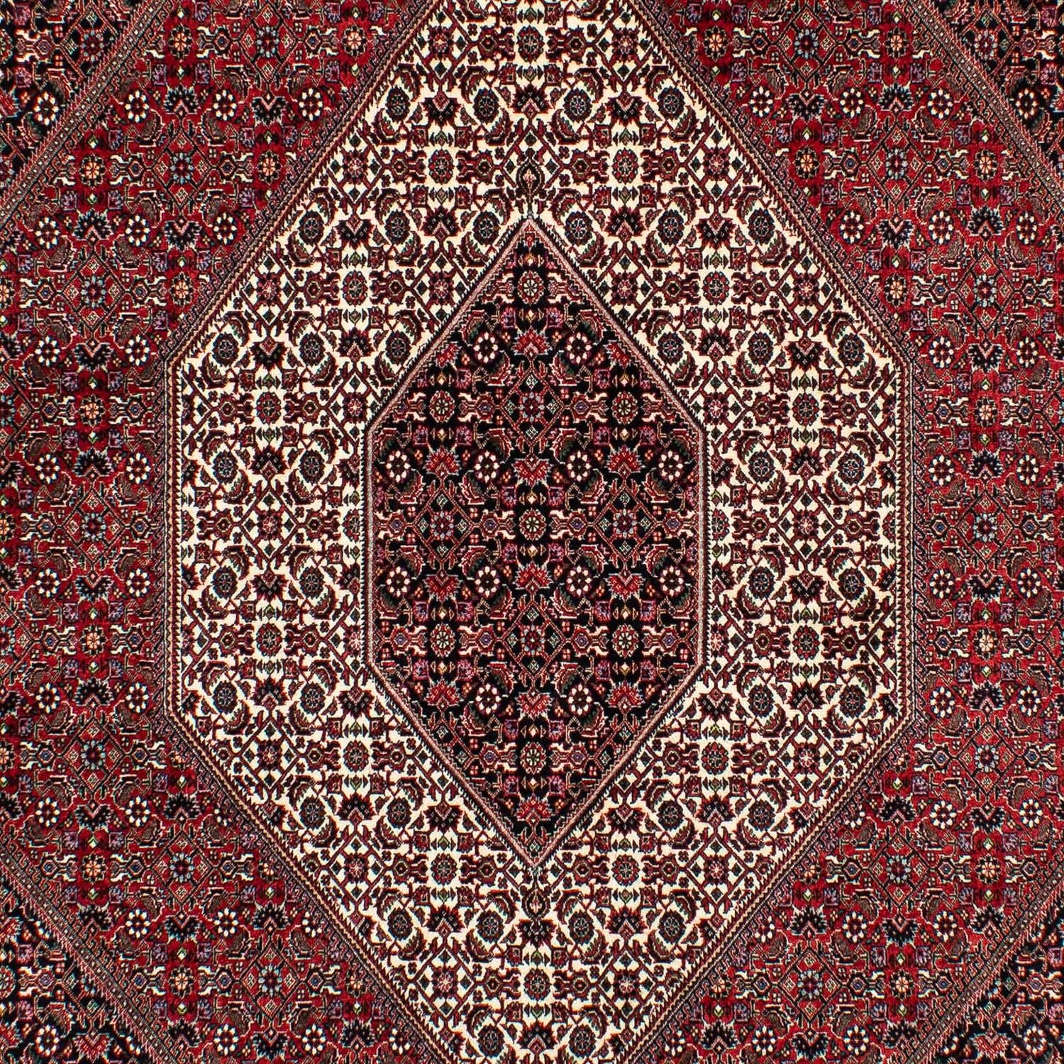 Perserteppich - Bidjar 305 x 203 cm Wohnzimmer Teppich