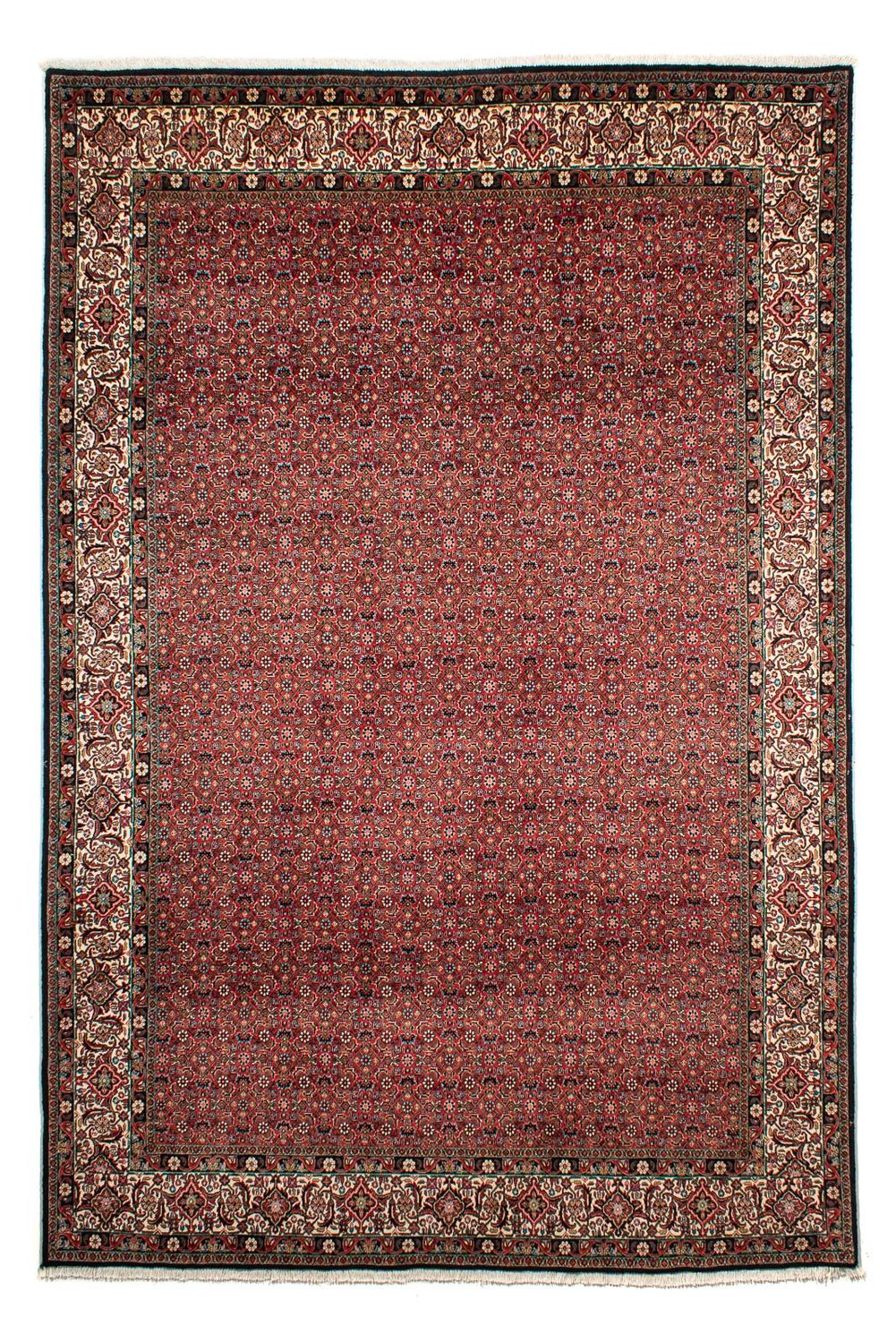 Perserteppich - Bidjar 307 x 208 cm