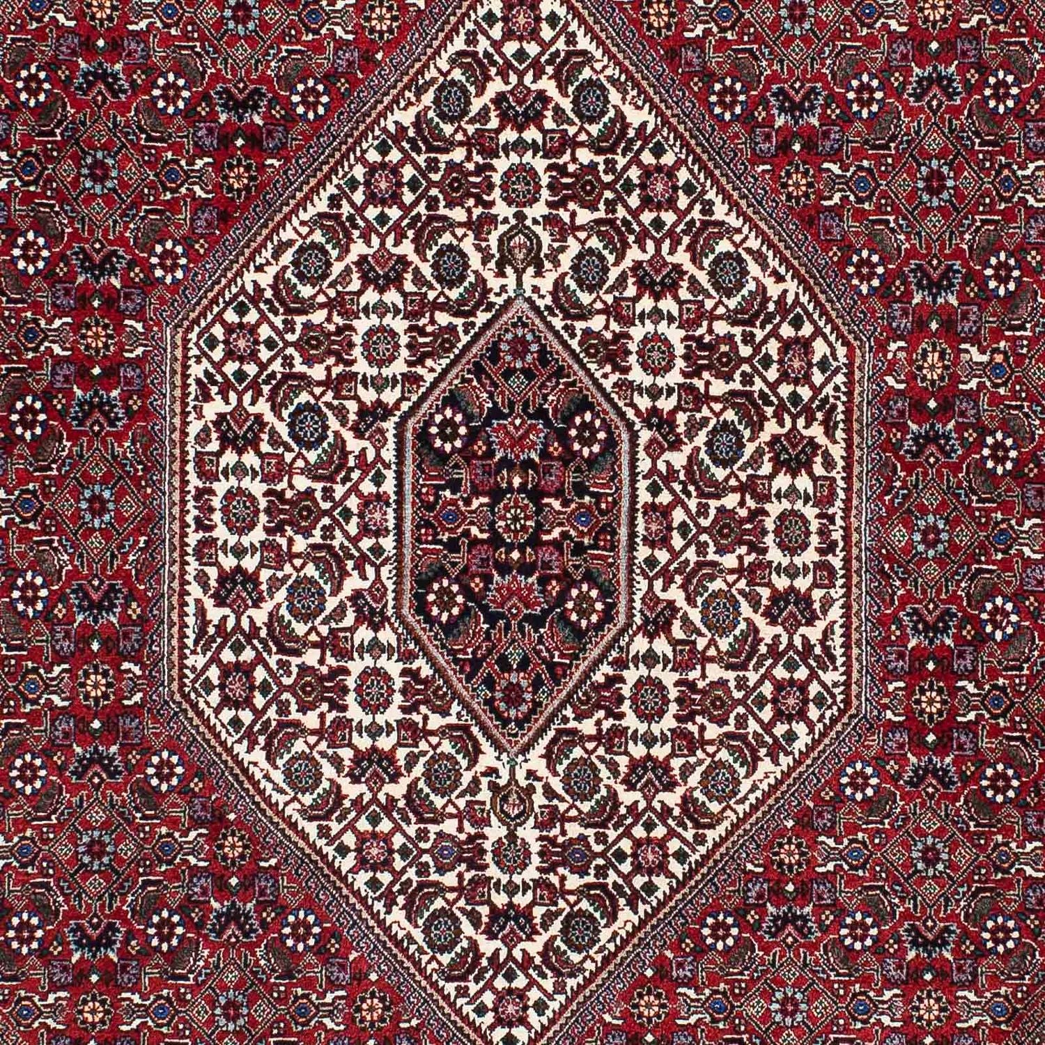Perserteppich - Bidjar - Royal 212 x 132 cm
