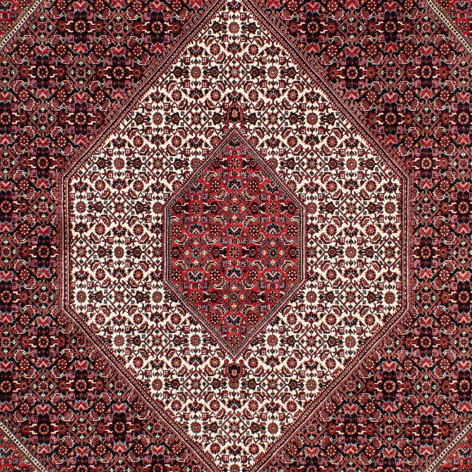 Perserteppich - Bidjar 308 x 202 cm Teppich Wohnzimmer