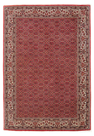 Perserteppich - Bidjar 248 x 174 cm