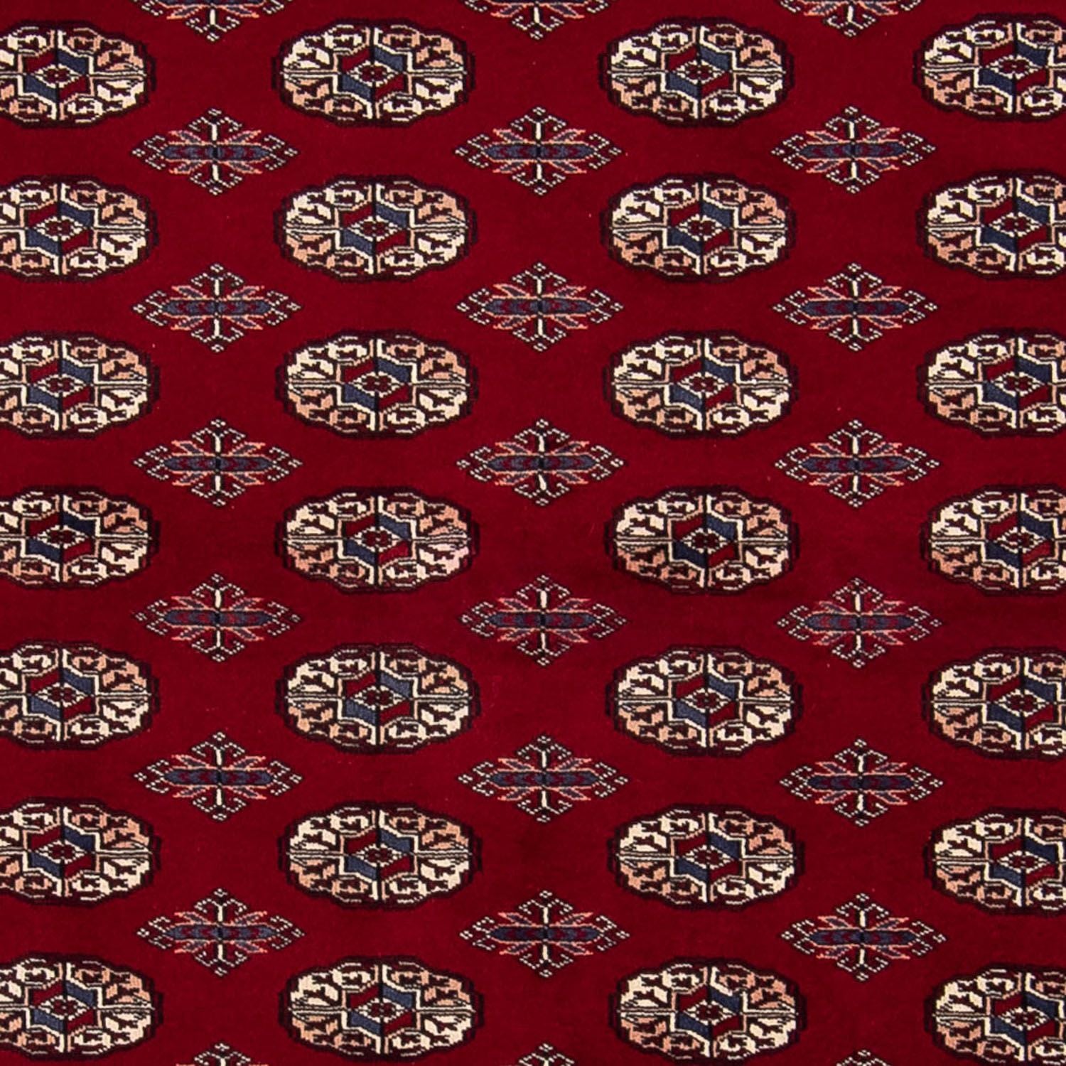 Afghan Teppich - Buchara 240 x 170 cm