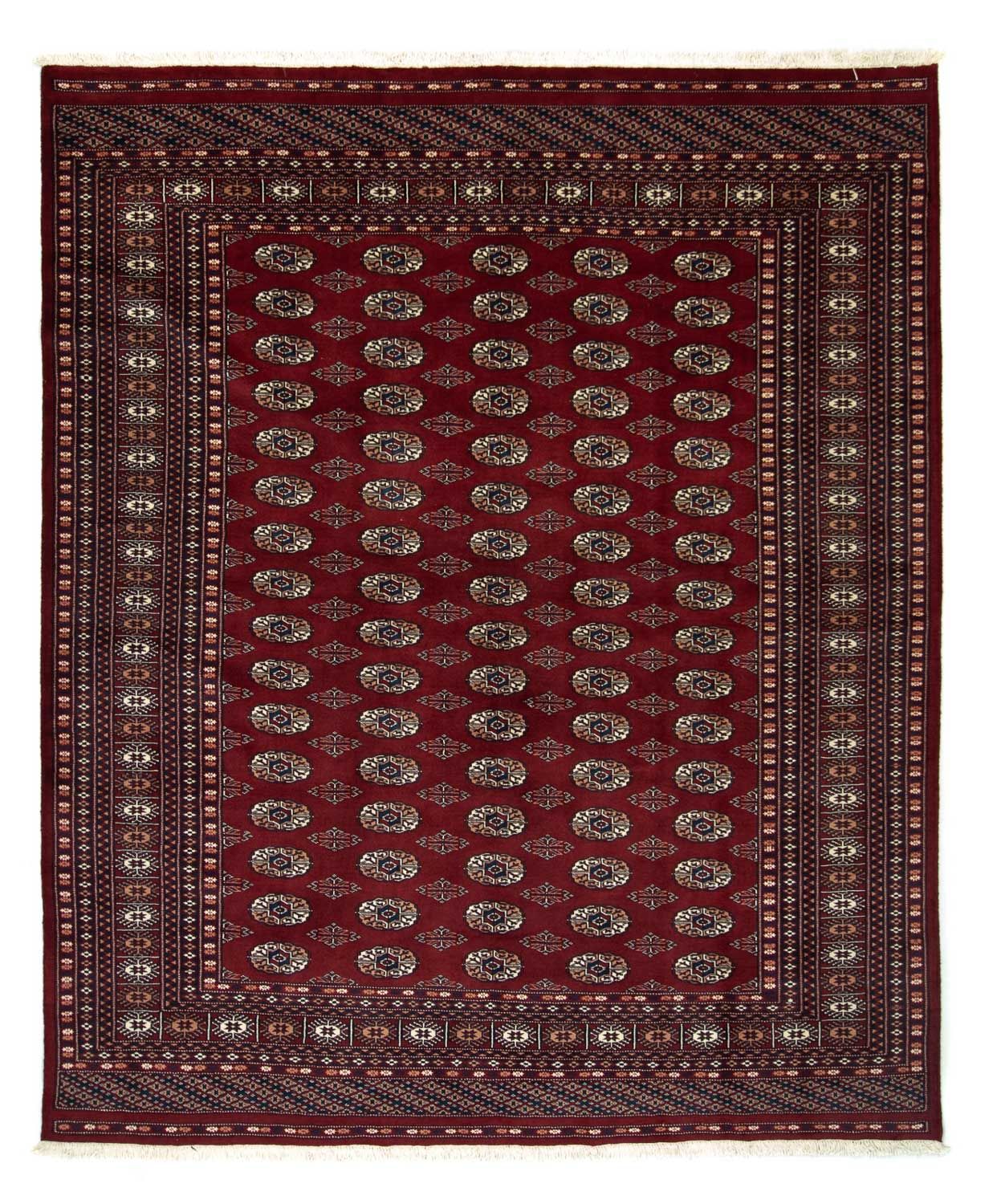Afghan Teppich - Buchara 238 x 200 cm
