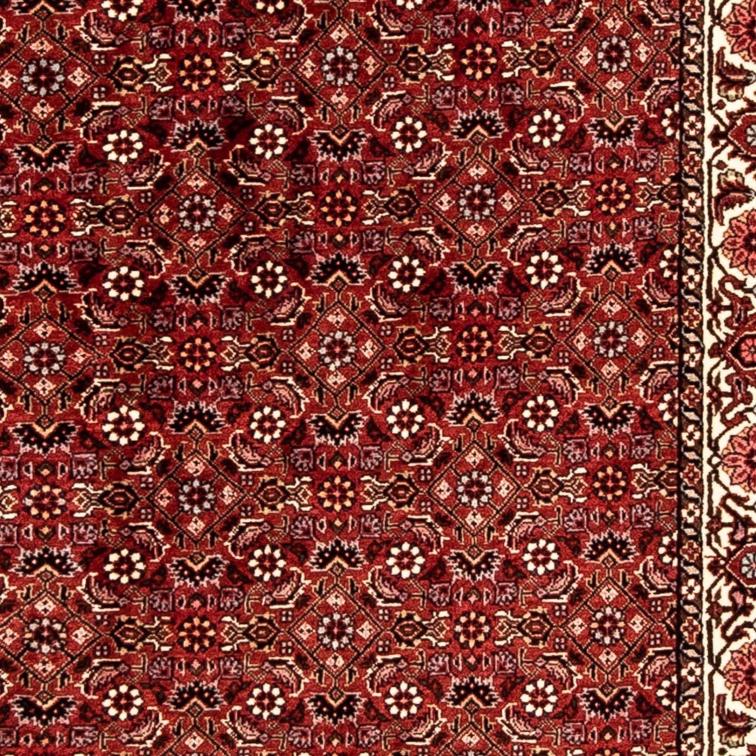 Perserteppich - Bidjar 296 x 82 cm