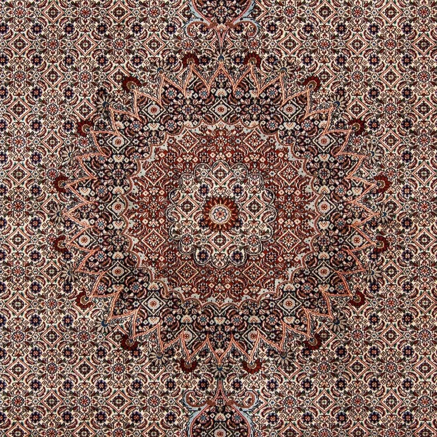 Perserteppich - Classic 289 x 202 cm