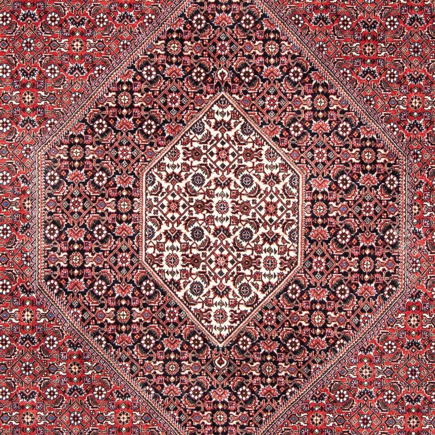 Perserteppich - Bidjar 253 x 174 cm