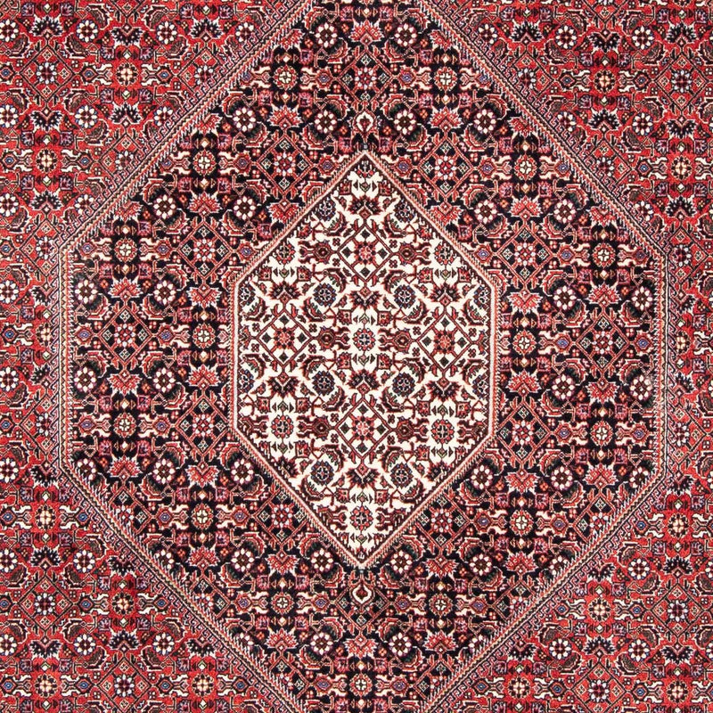 Perserteppich - Bidjar 253 x 174 cm