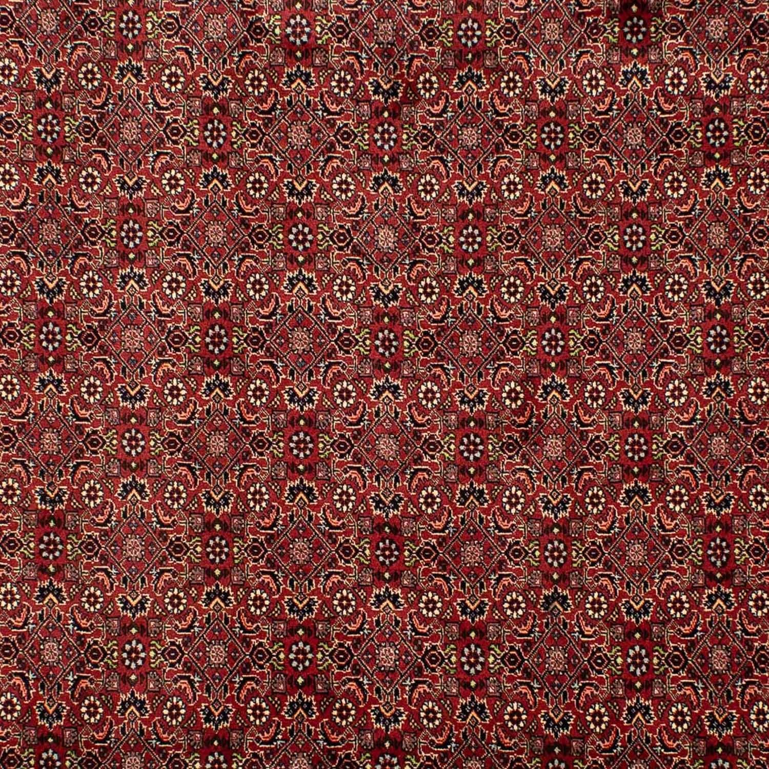 Perserteppich - Bidjar 302 x 203 cm