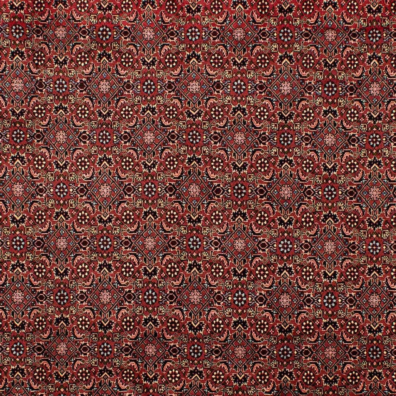 Perserteppich - Bidjar 298 x 198 cm