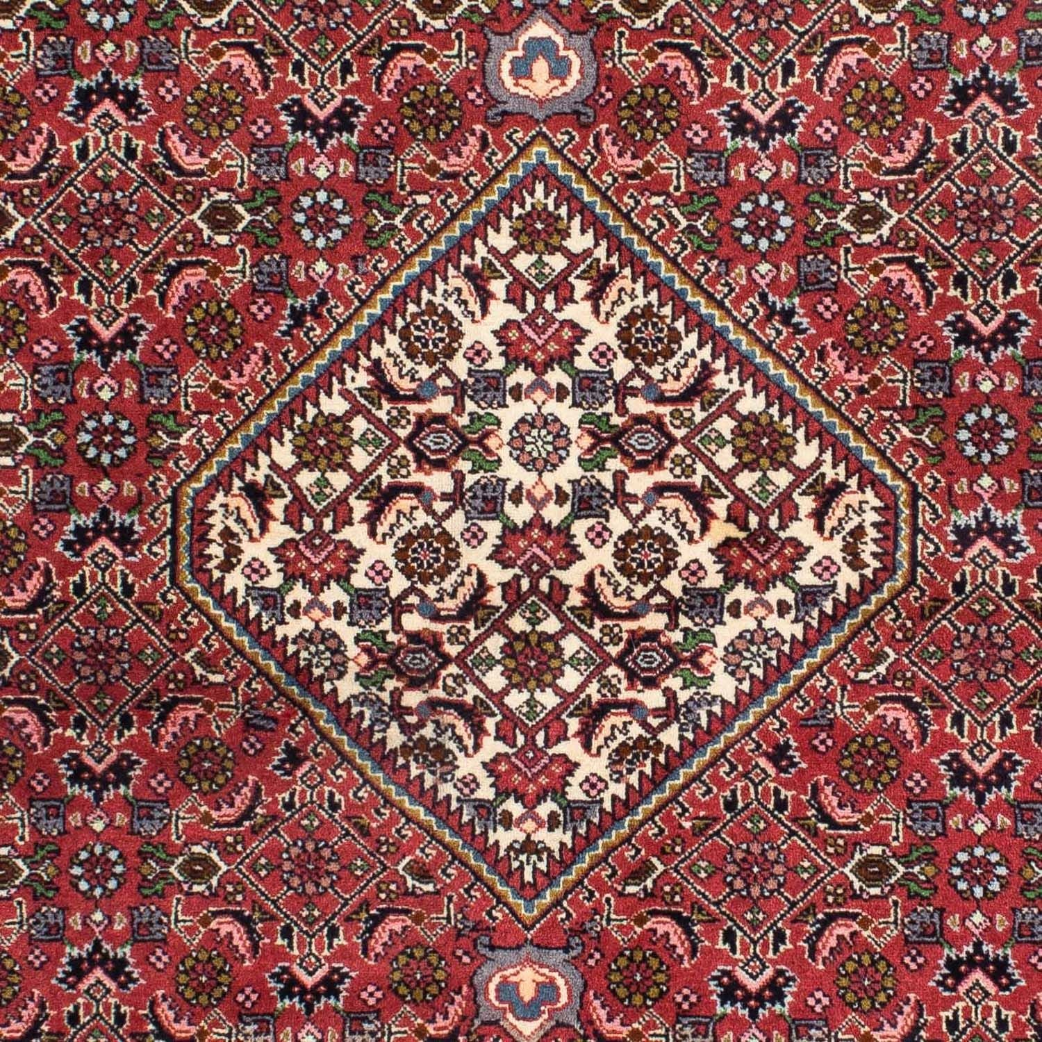 Perserteppich - Bidjar 216 x 137 cm