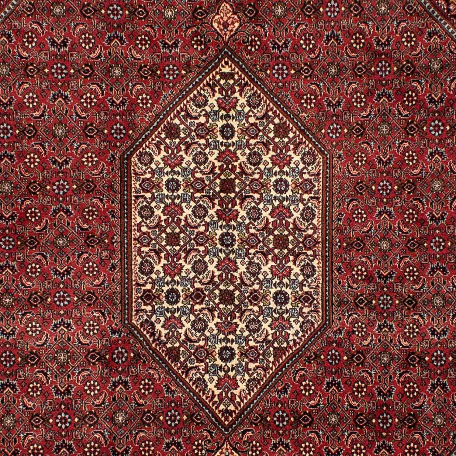 Perserteppich - Bidjar 282 x 204 cm