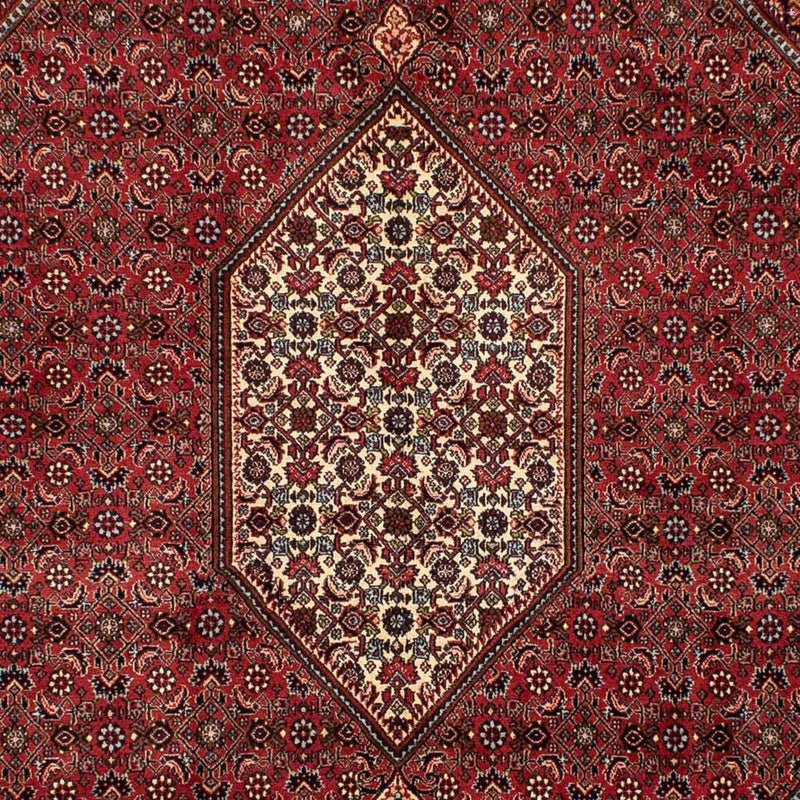 Perserteppich - Bidjar 282 x 204 cm