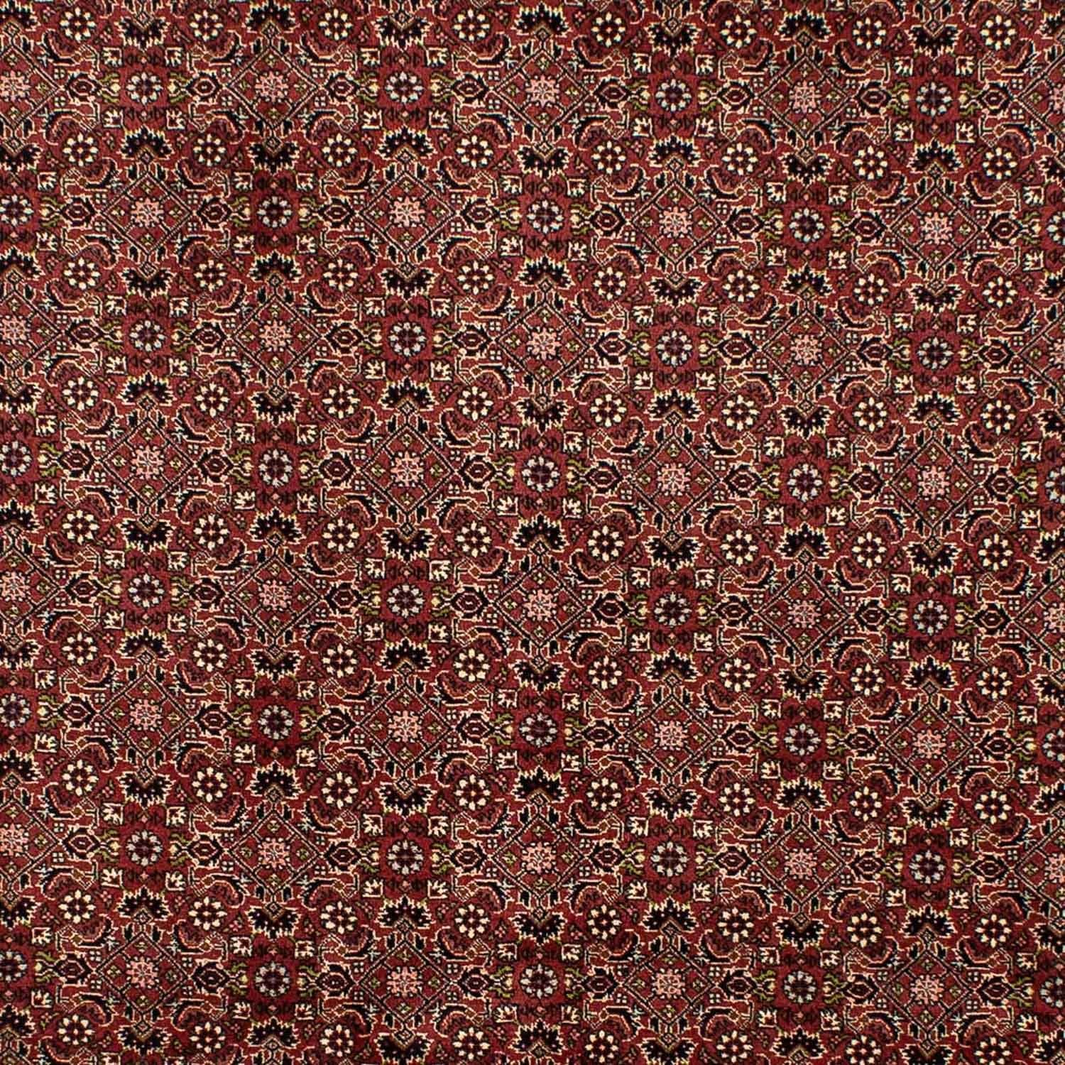 Perserteppich - Bidjar 292 x 198 cm