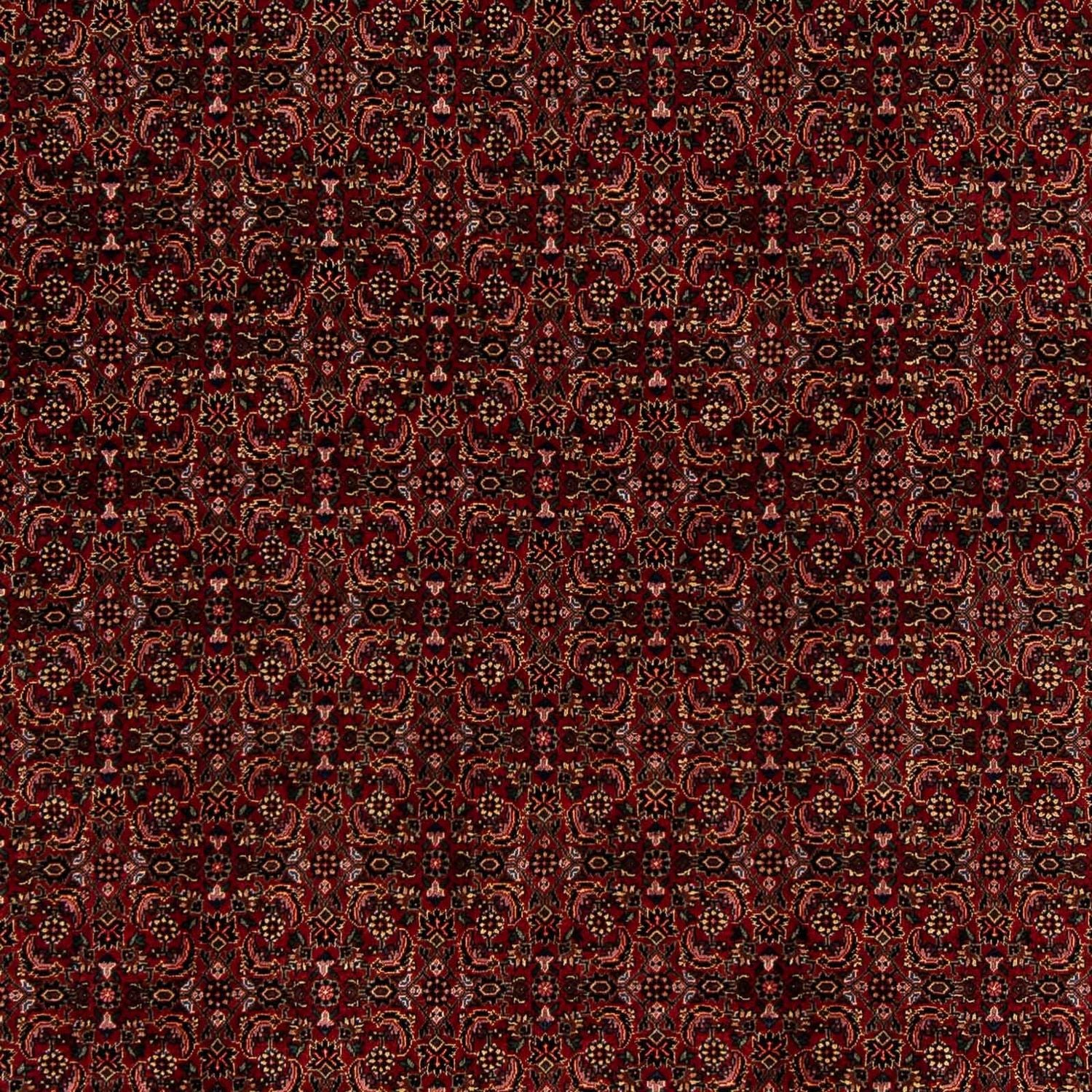 Perserteppich - Bidjar 249 x 202 cm Wohnzimmer Teppich