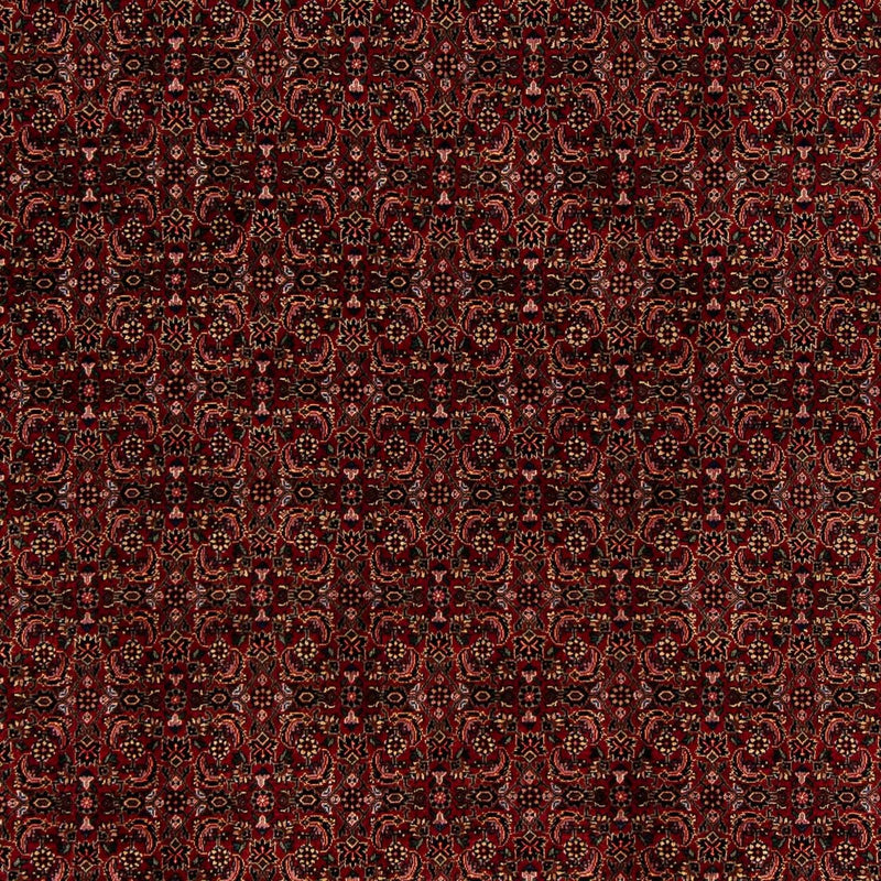 Perserteppich - Bidjar 249 x 202 cm Wohnzimmer Teppich