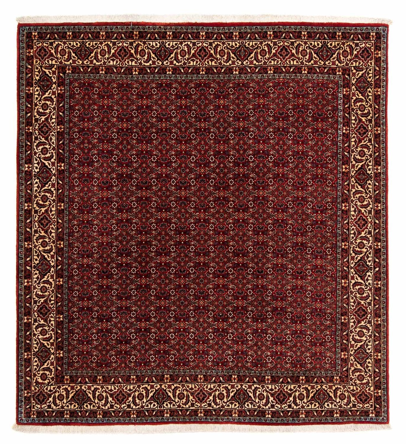 Perserteppich - Bidjar 207 x 200 cm