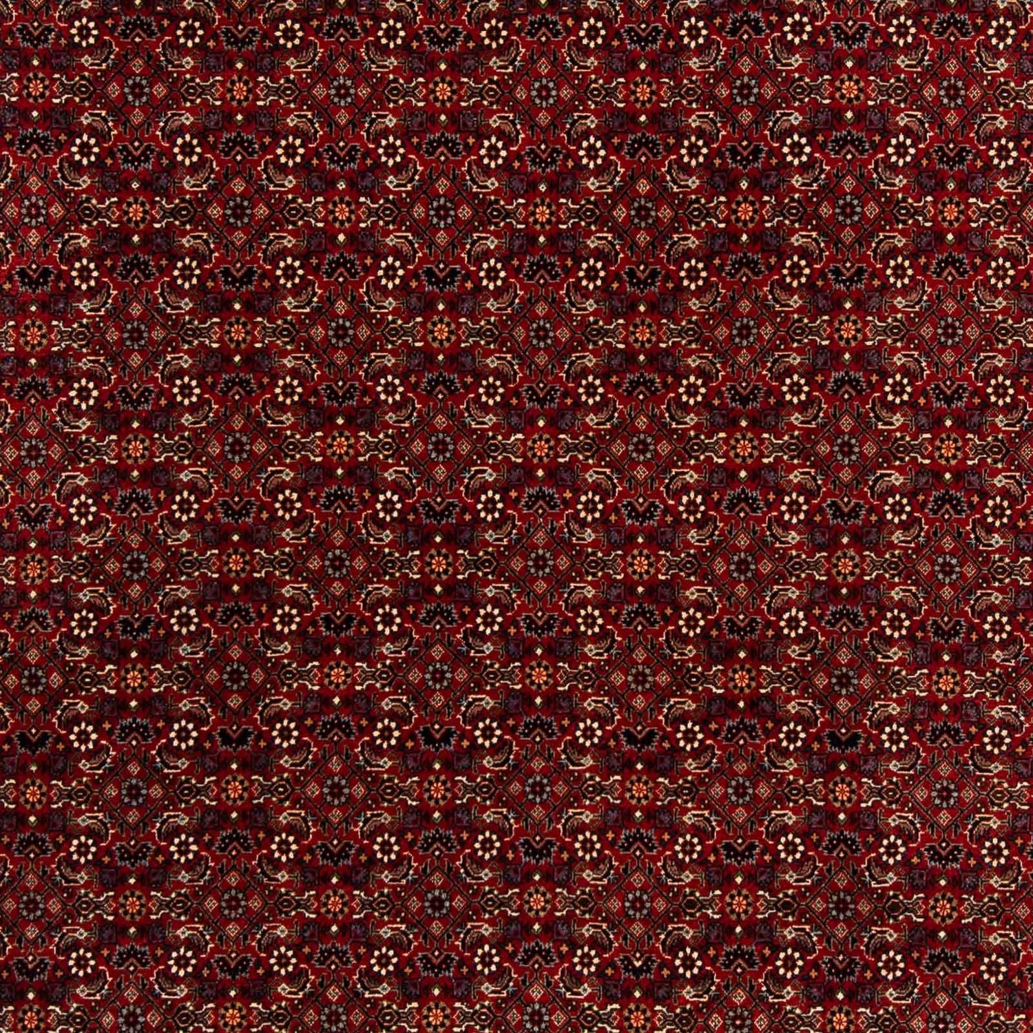 Perserteppich - Bidjar 207 x 200 cm