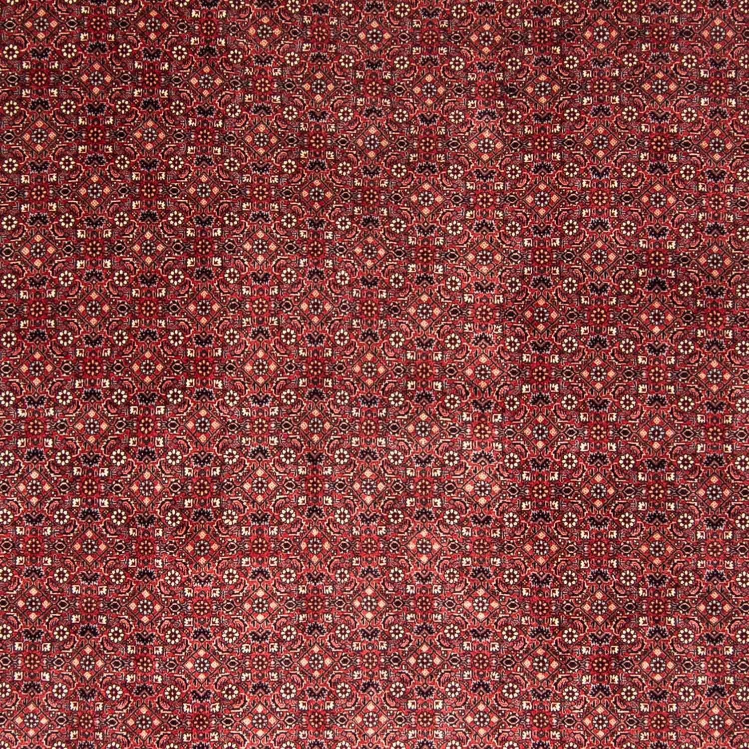 Perserteppich - Bidjar 338 x 258 cm