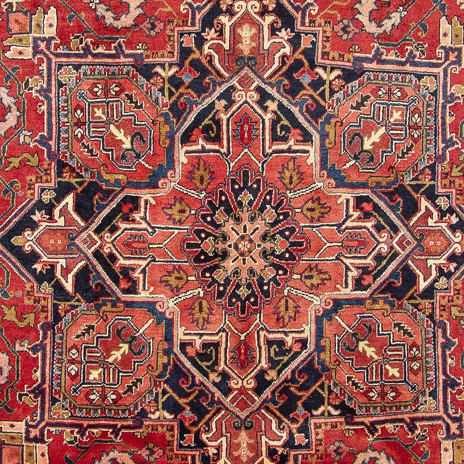 Perserteppich - Nomadic 342 x 245 cm