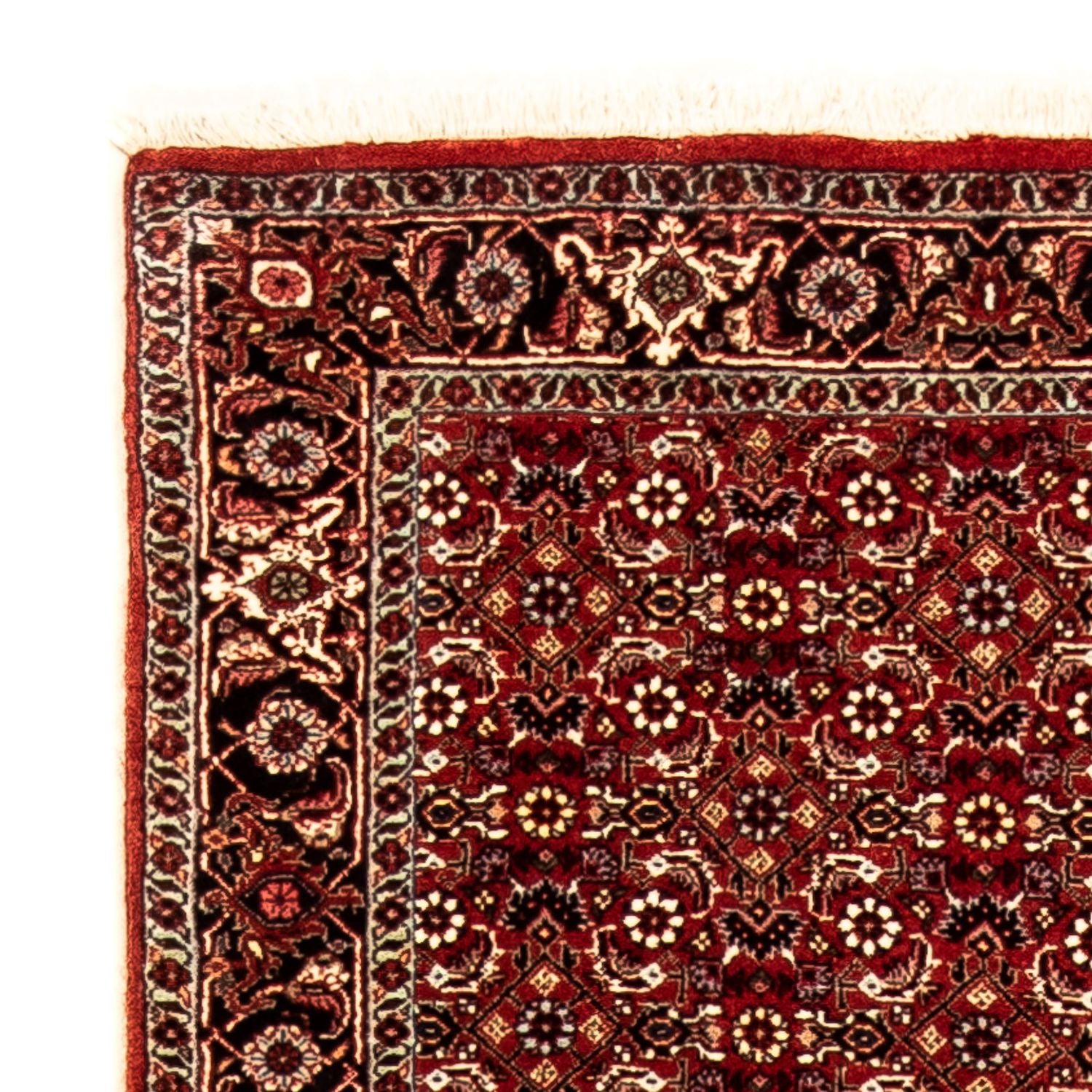 Perserteppich - Bidjar 298 x 80 cm