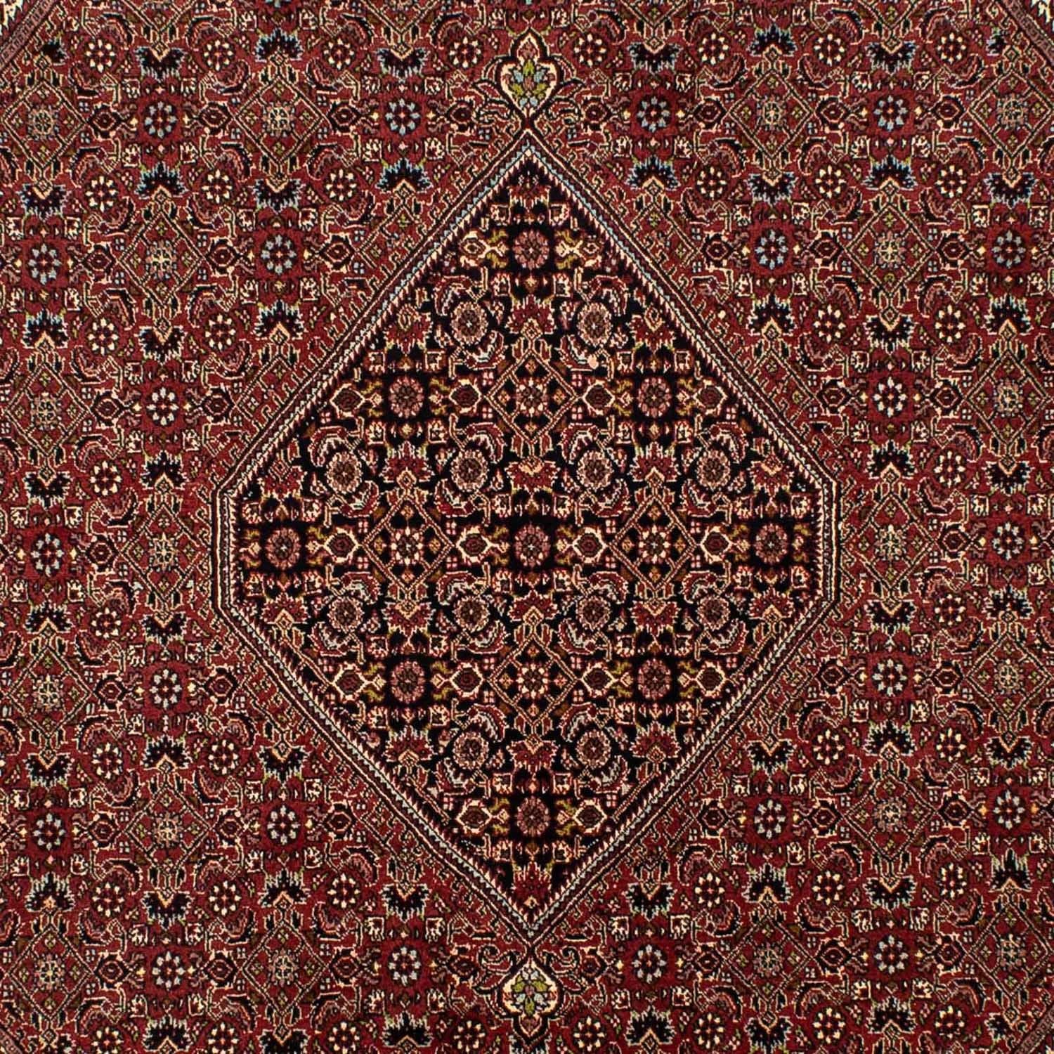 Perserteppich - Bidjar 295 x 200 cm
