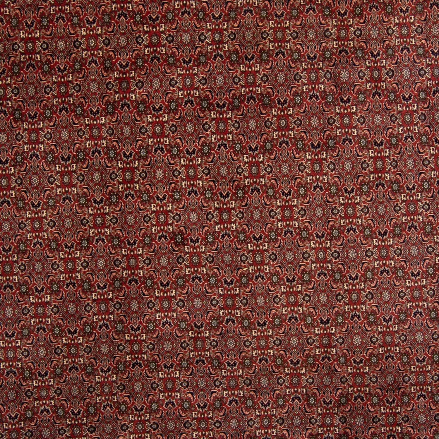 Perserteppich - Bidjar 342 x 244 cm
