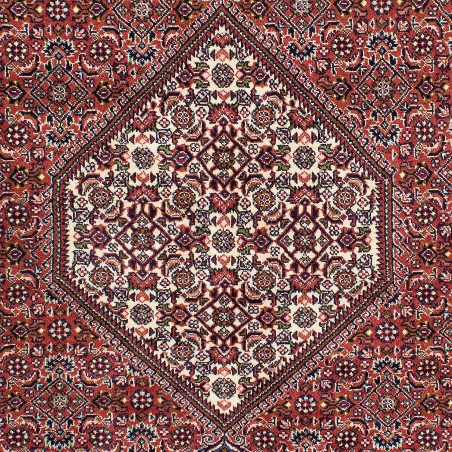 Perserteppich - Bidjar 228 x 138 cm