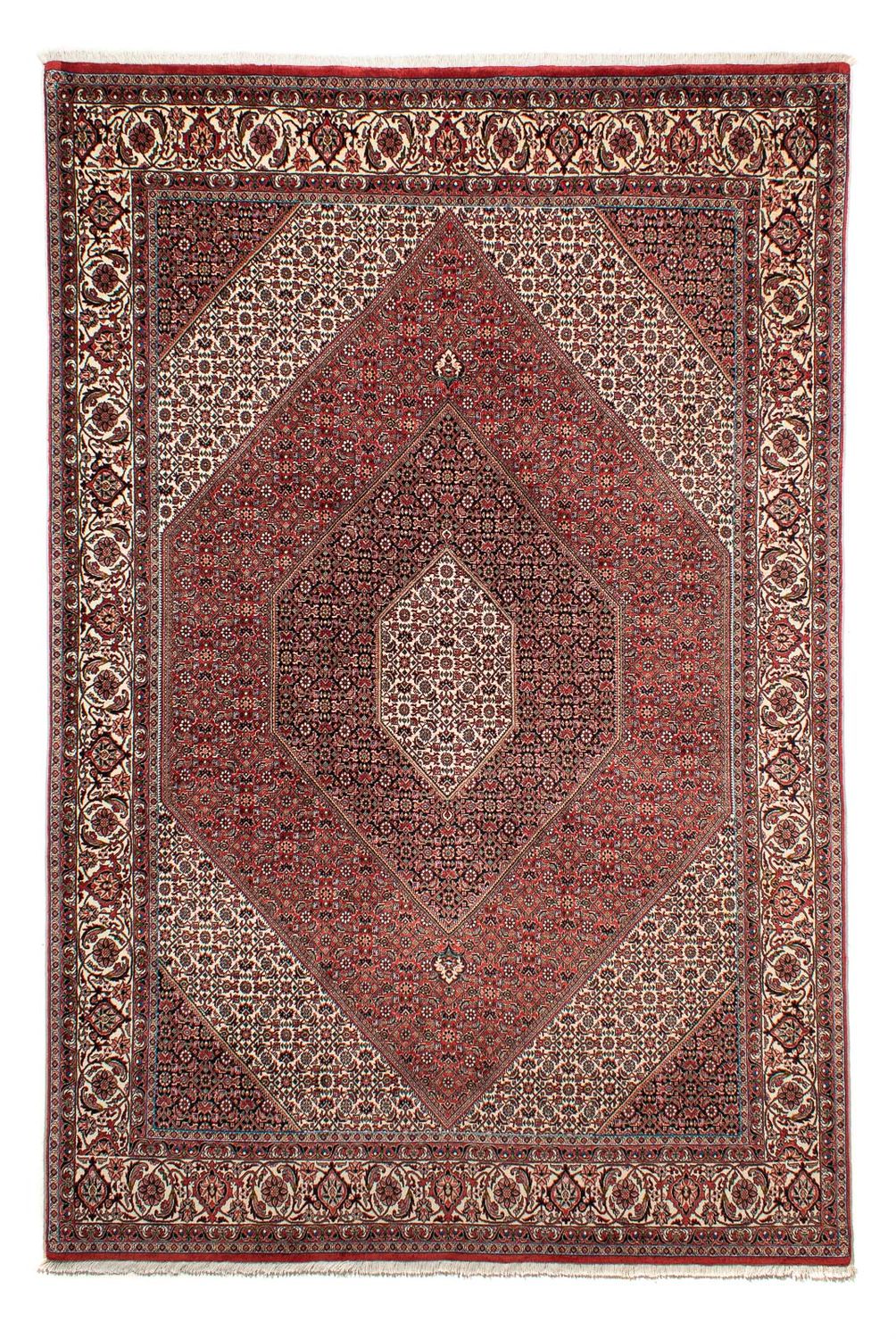 Perserteppich - Bidjar 294 x 204 cm
