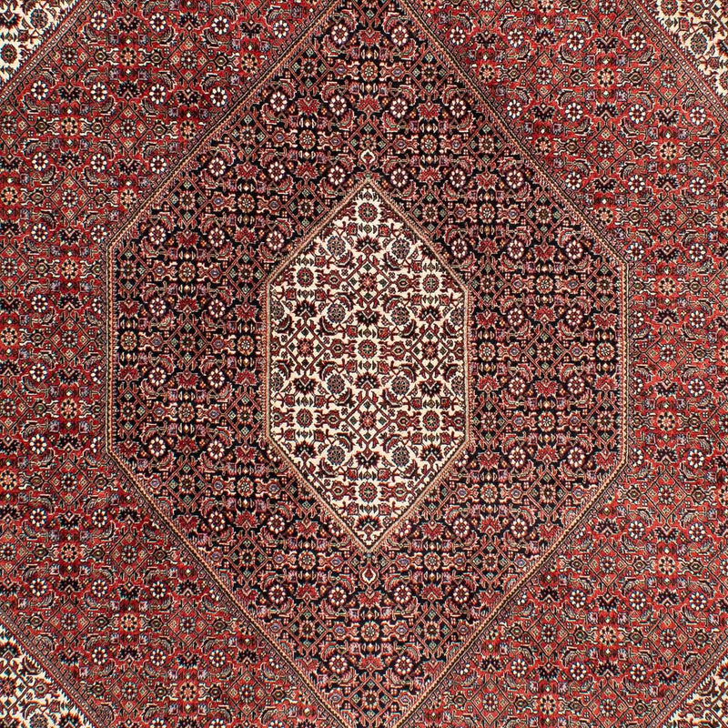 Perserteppich - Bidjar 294 x 204 cm